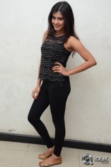 Hebha Patel at Ala Ela Movie Platinum Disc Function